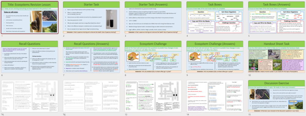 Year-8 Biology Ecosystems: End of Topic Revision Slide Thumbnail Images