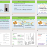 Year-8 Biology Ecosystems: End of Topic Revision Slide Thumbnail Images