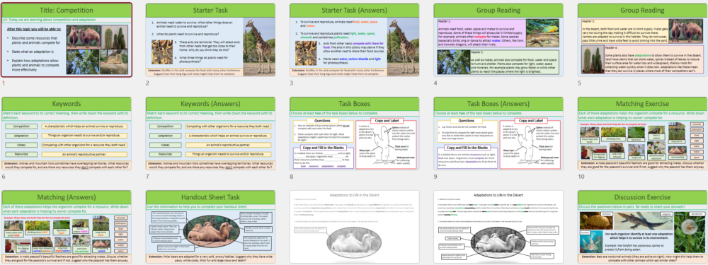 Lesson Slide Thumbnail Images