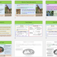 Lesson Slide Thumbnail Images