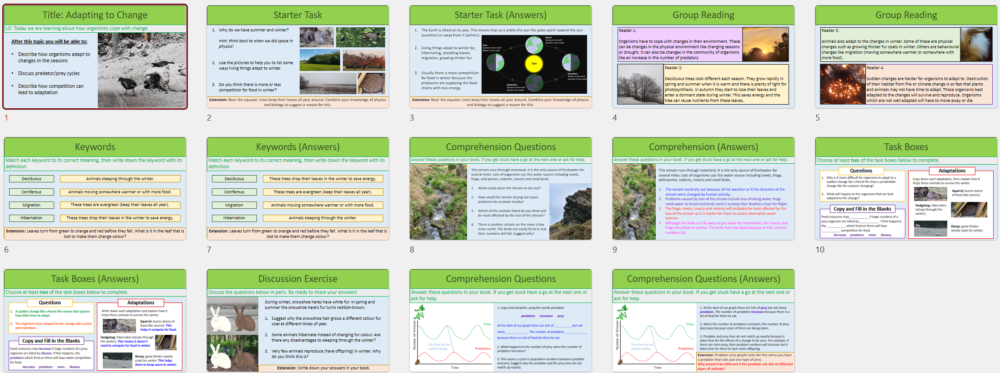 Lesson Slide Thumbnail Images