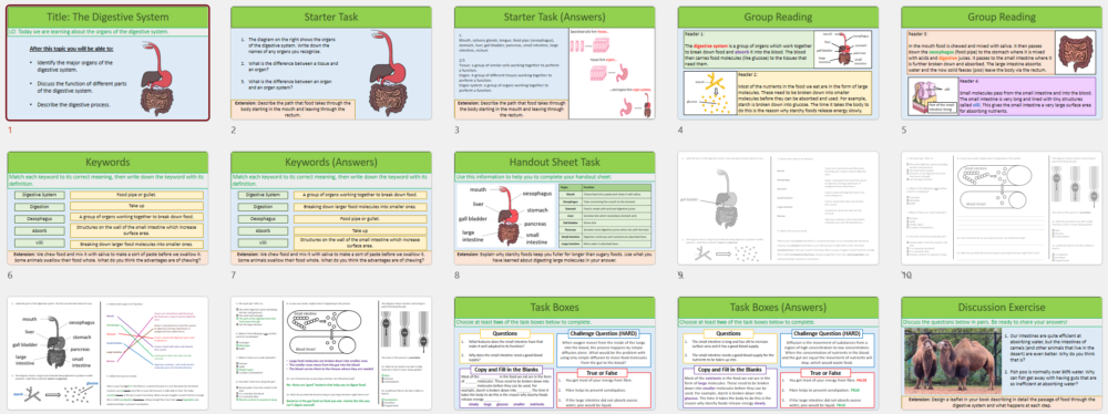 Lesson Slide Thumbnail Images
