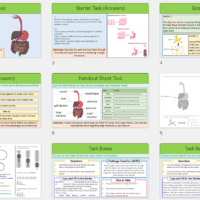 Lesson Slide Thumbnail Images