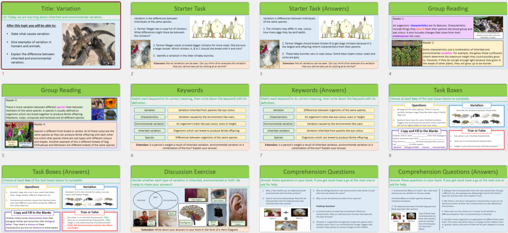 Lesson Slide Thumbnail Images