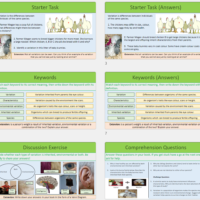 Lesson Slide Thumbnail Images