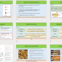 Lesson Slide Thumbnail Images