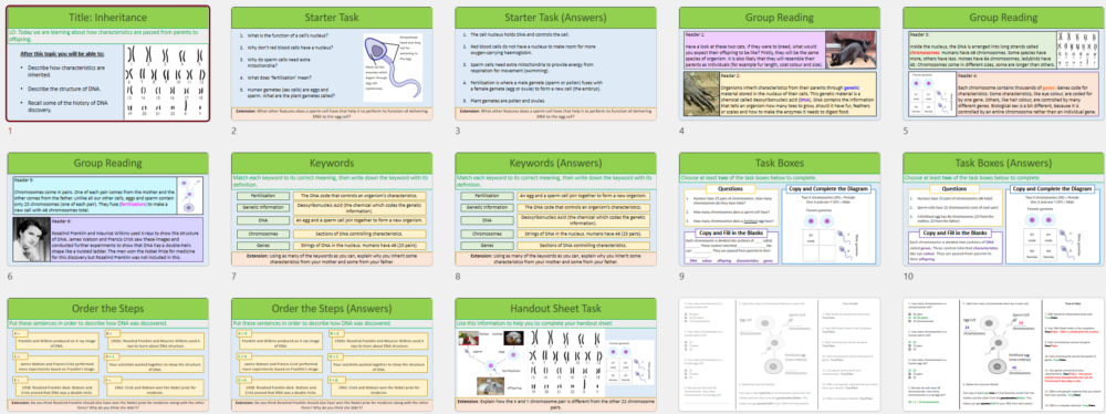 Lesson Slide Thumbnail Images