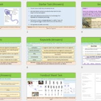 Lesson Slide Thumbnail Images