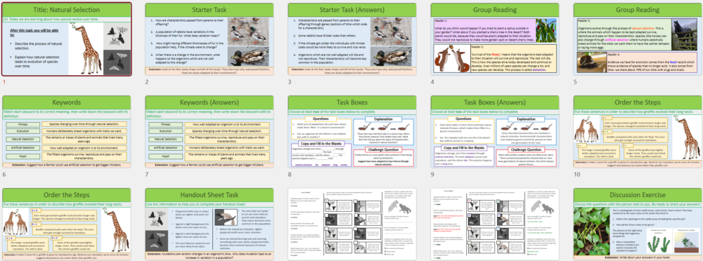 Lesson Slide Thumbnail Images