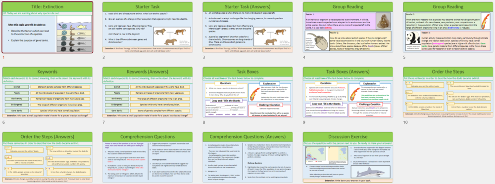 Lesson Slide Thumbnail Images
