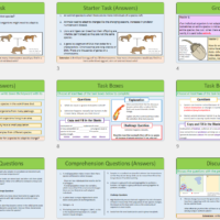 Lesson Slide Thumbnail Images