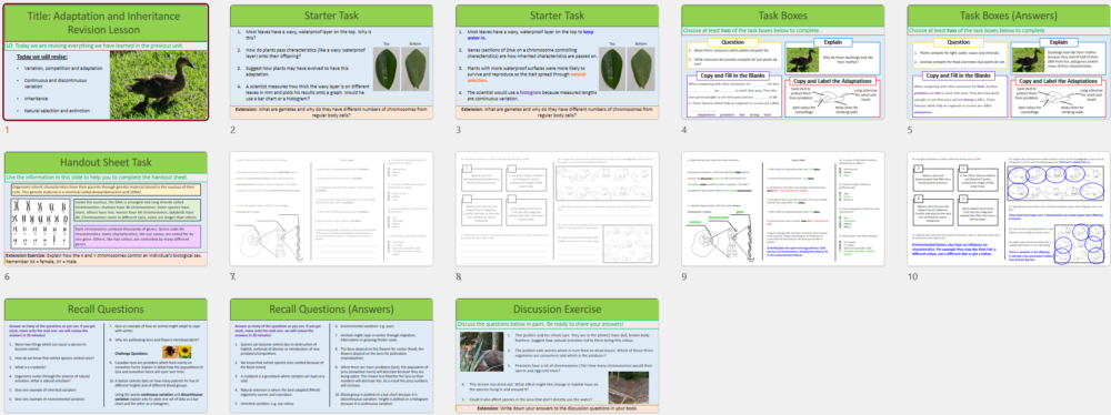 Lesson Slide Thumbnail Images