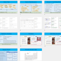 Lesson Slide Thumbnail Images