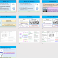 Lesson Slide Thumbnail Images