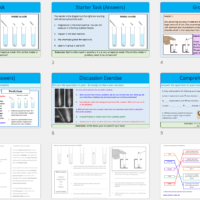 Lesson Slide Thumbnail Images