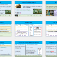 Lesson Slide Thumbnail Images