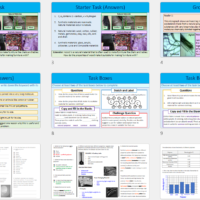 Lesson Slide Thumbnail Images