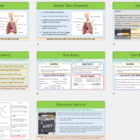 Lesson Slide Thumbnail Images