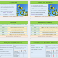 Lesson Slide Thumbnail Images