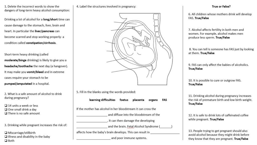 Lesson Worksheet Activity