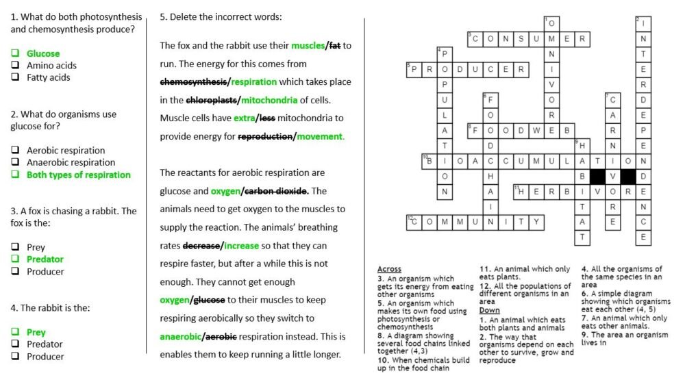 Lesson Worksheet Activity