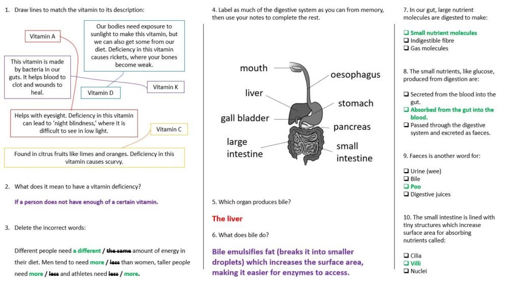 Lesson Worksheet Activity