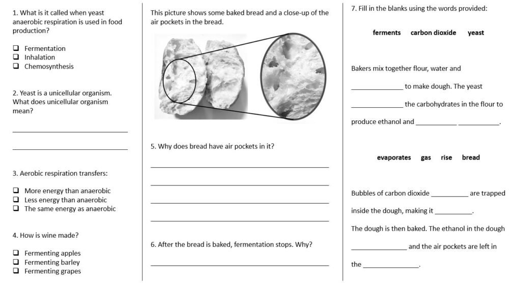 Lesson Worksheet Activity