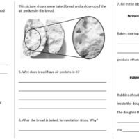 Lesson Worksheet Activity