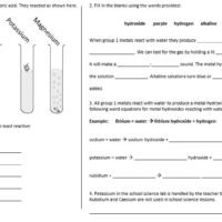 Lesson Worksheet Activity