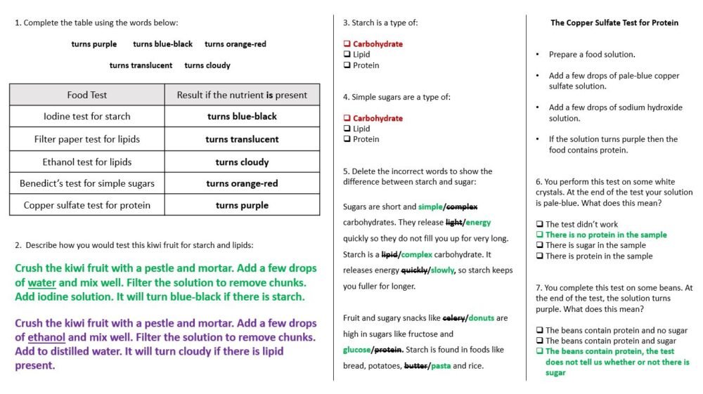 Lesson Worksheet Activity