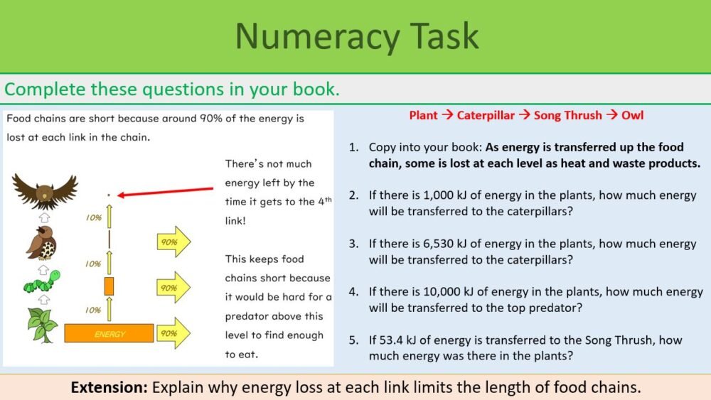 Numeracy Task