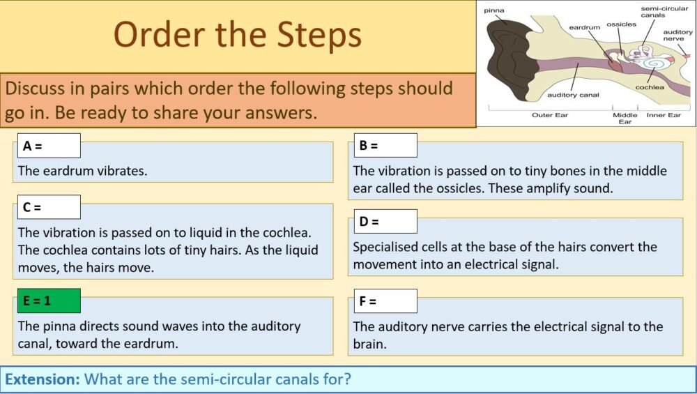 Order the Steps Activity