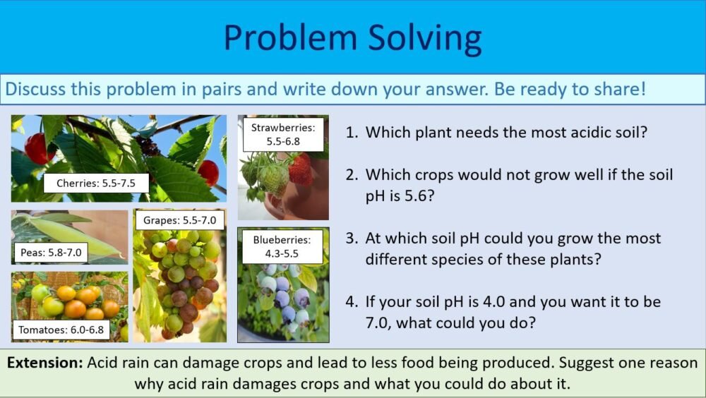 Problem Solving Activity