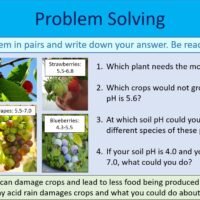 Problem Solving Activity