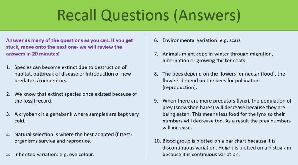 Recall Questions Activity