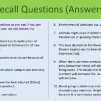Recall Questions Activity