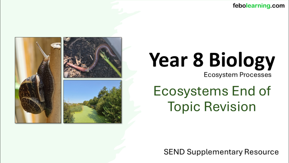 SEND Supplementary Year-8 Biology Ecosystems: End of Topic Revision Lesson Title
