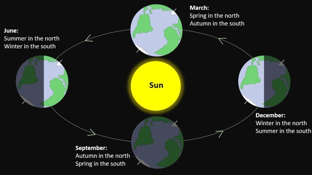 Seasons Illustration