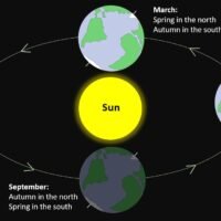 Seasons Illustration