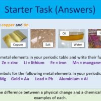 Starter Activity Starter Activity