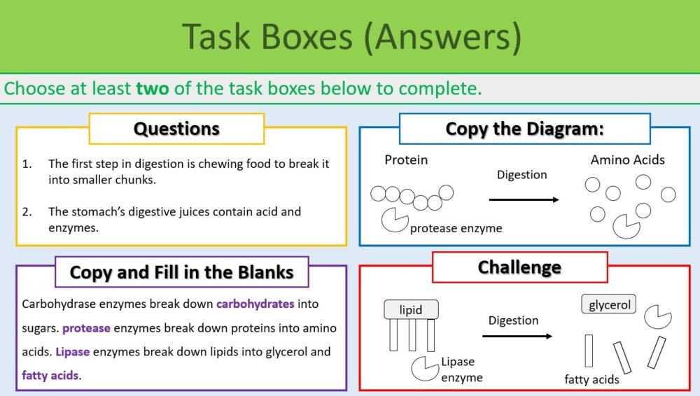 Task Selection Boxes