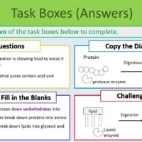 Task Selection Boxes