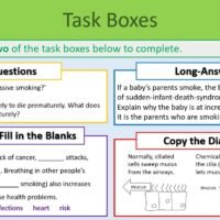 Task Selection Boxes