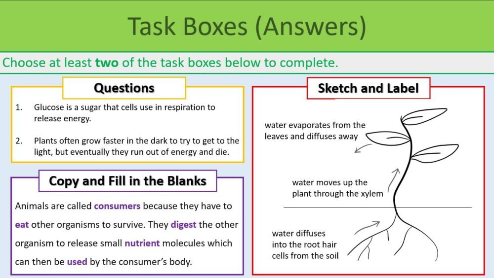 Task Selection Boxes