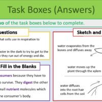 Task Selection Boxes