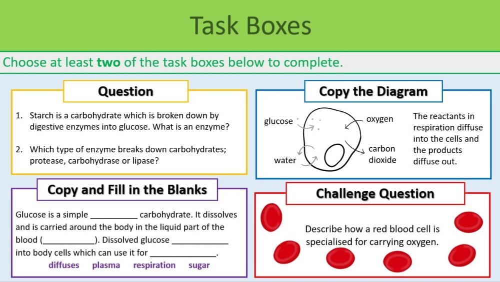 Task Selection Boxes