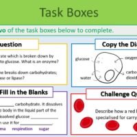 Task Selection Boxes