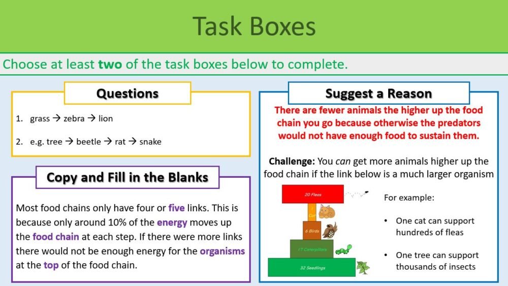 Task Selection Boxes