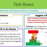 Task Selection Boxes