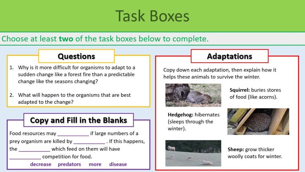Task Selection Boxes
